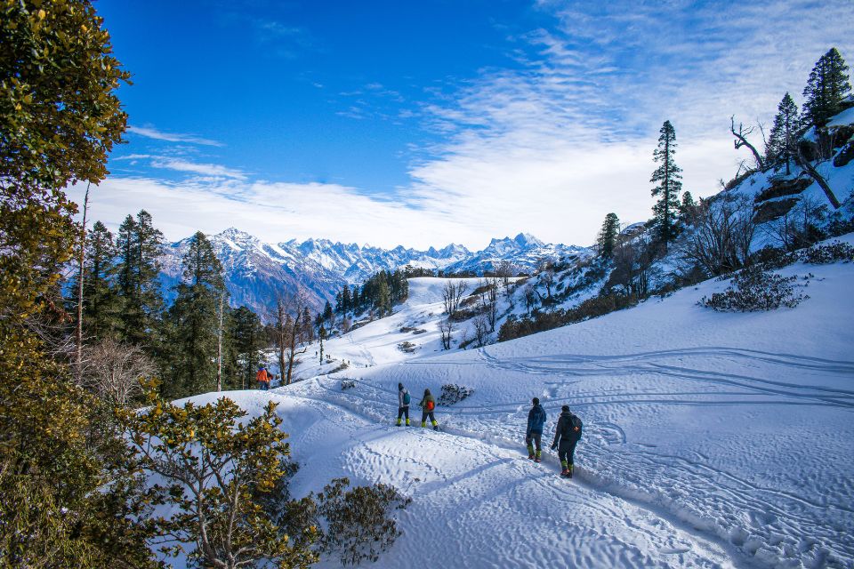 Delhi Manali Trip